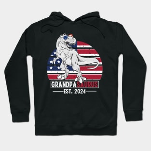 PROMOTED TO GRANDPASAURUS BABY ANNOUNCEMENT 2024 Hoodie